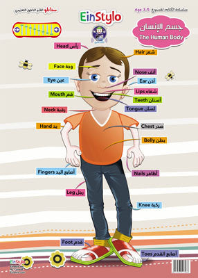EinStylo || The Human Body's in both English and Arabic (3-5 years) || Poster